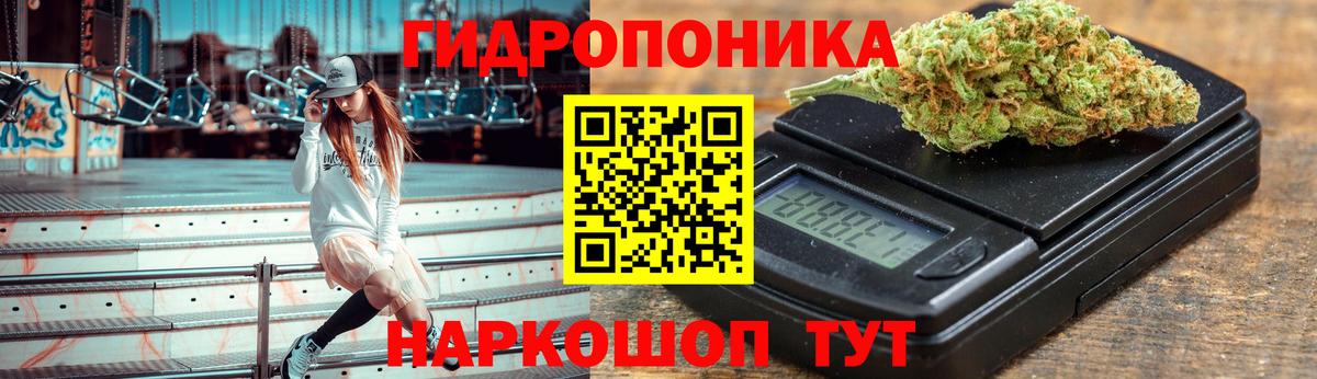 Бошки марихуана Bruce Banner Владимир