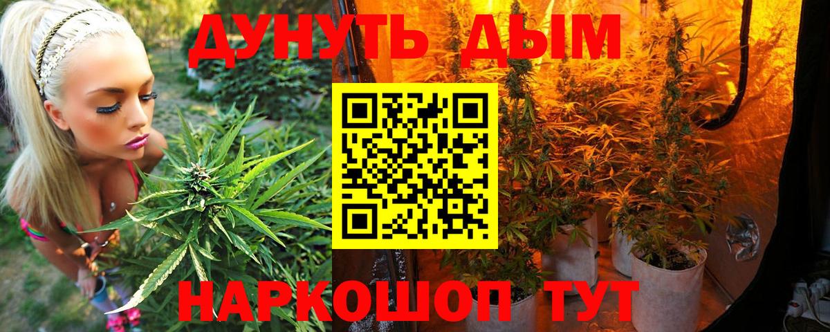 Бошки марихуана SATIVA & INDICA  Каннабис сатива  Конопля White Widow  Владимир  Вход с VPN  Каннабис THC 21% 
